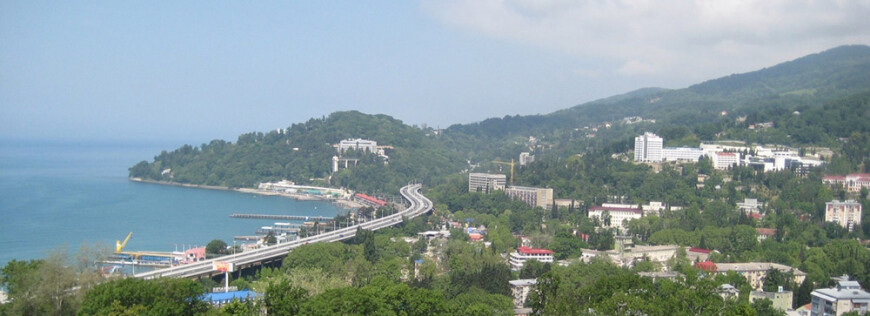 Хоста