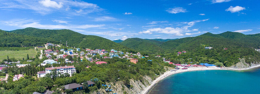 Бетта