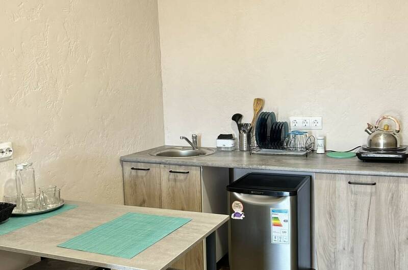 Однокомнатные апартаменты с кухней (2 осн. места)