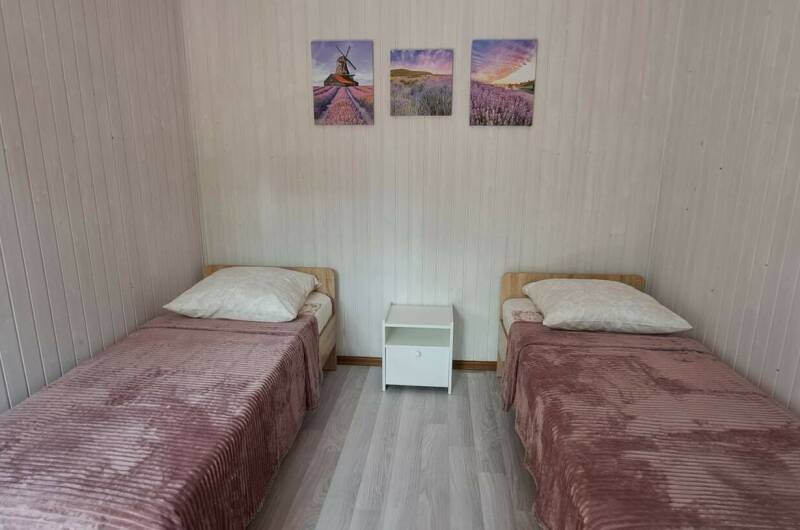 2-местный «Эконом розовый»