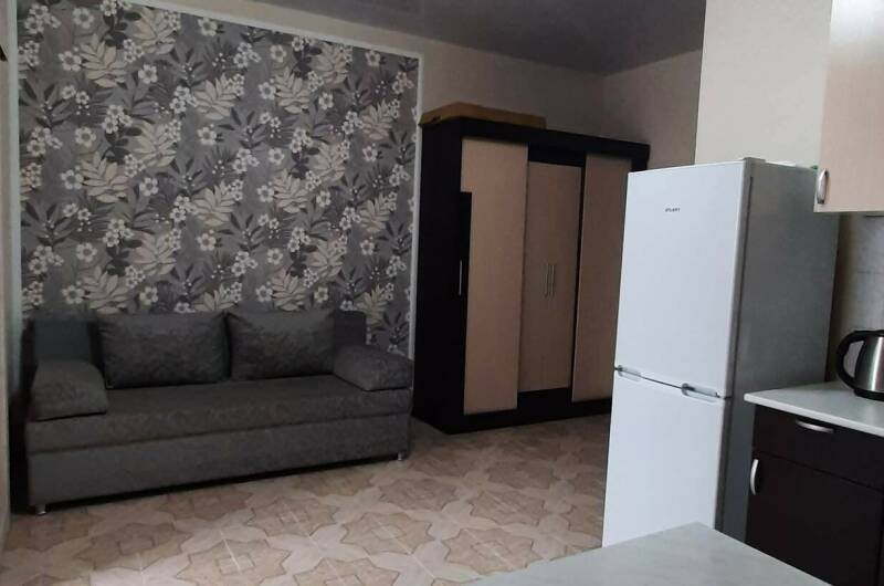 Двухкомнатная студия со своей кухней