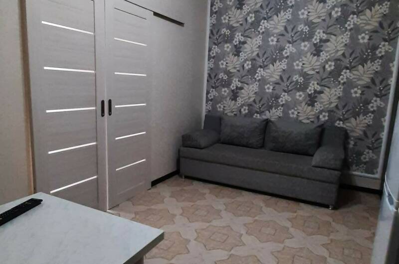 Двухкомнатная студия со своей кухней