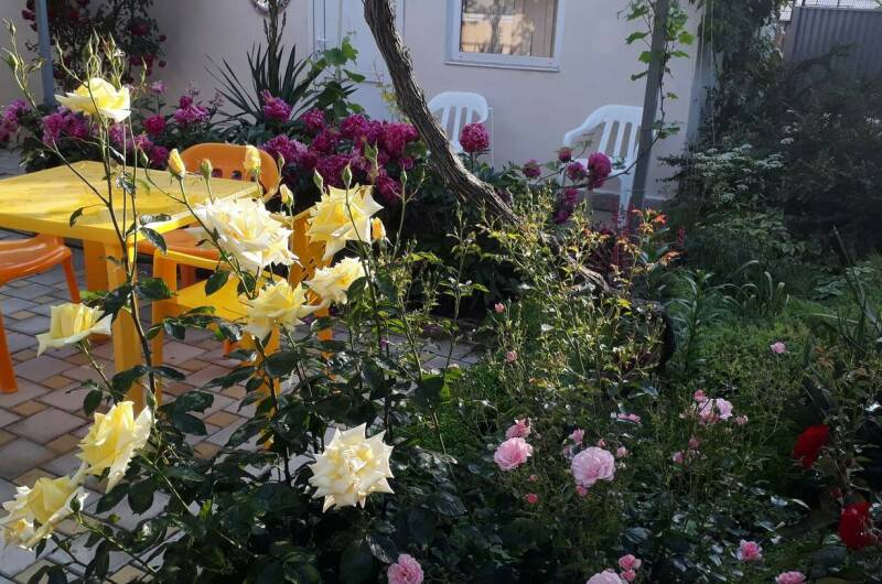 2-х местный Стандарт на 1 этаже «Мать и дитя» № 3