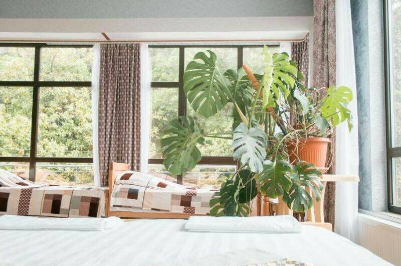 Четырехместный номер с террасой