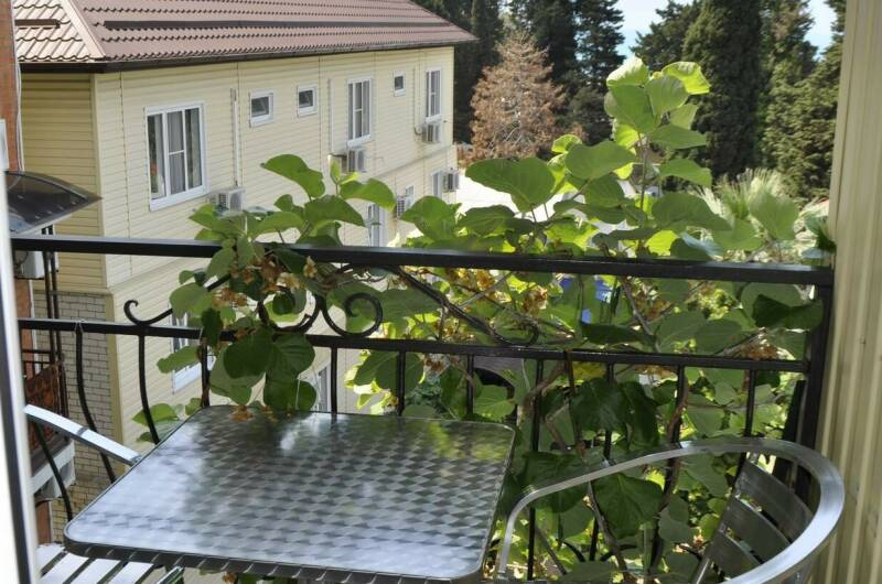 2-х уровневый «Семейный» 405