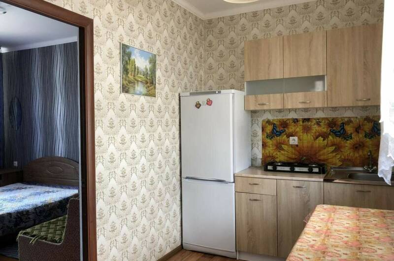 Двухкомнатный дом под ключ с кухней и двориком