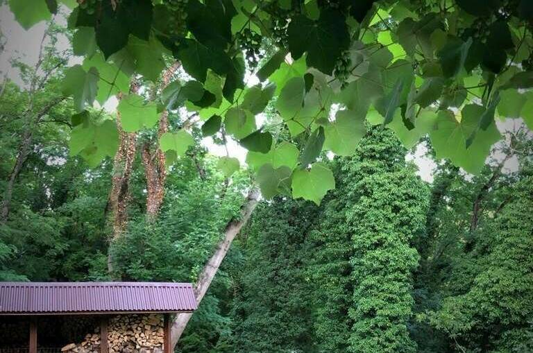 Номер с двуспальной кроватью и видом на горы