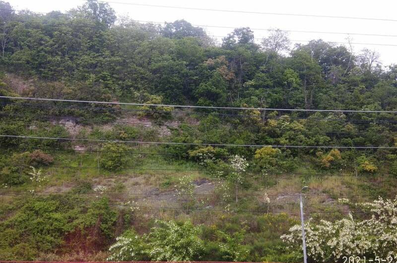 Стандарт с видом на горы