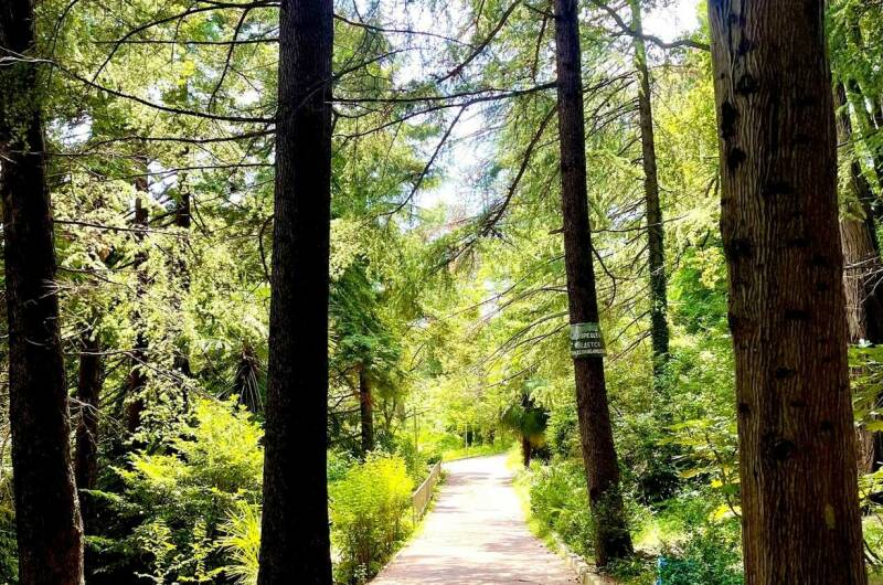 Двухместный с 1 кроватью