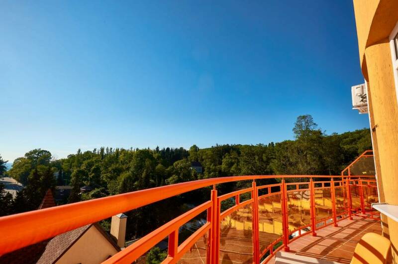 Одноместный Делюкс с балконом видом на сад и горы