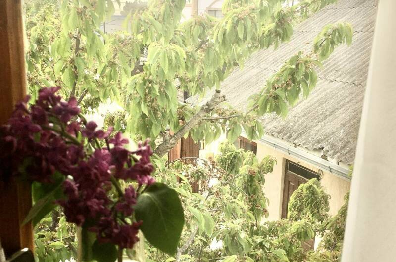 «Эконом» 2-местный № 13