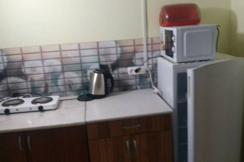 Комната с кухней на 4 человека