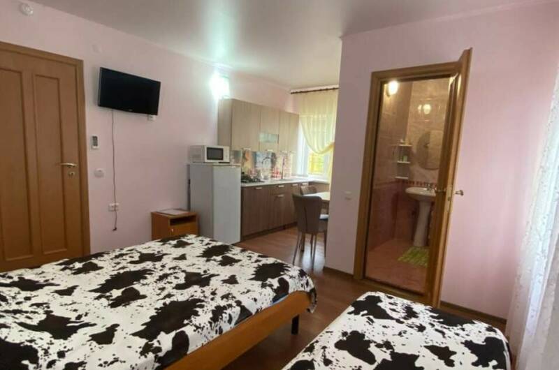 3-х местный номер студия