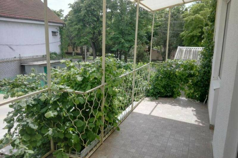 Двухкомнатный семейный номер с террасой