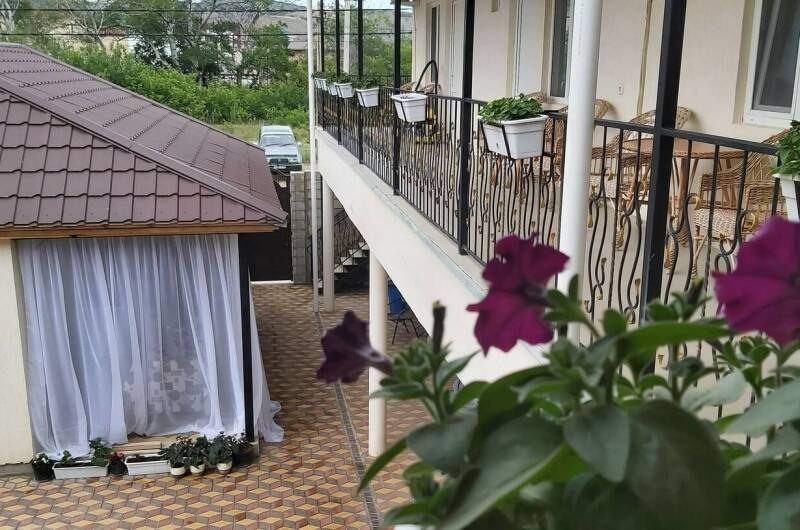 «Стандарт»