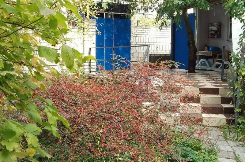 Отдельная часть дома (квартира на земле)