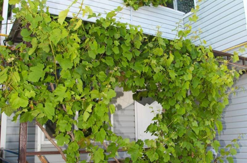 Двухэтажный коттедж 100 кв, м