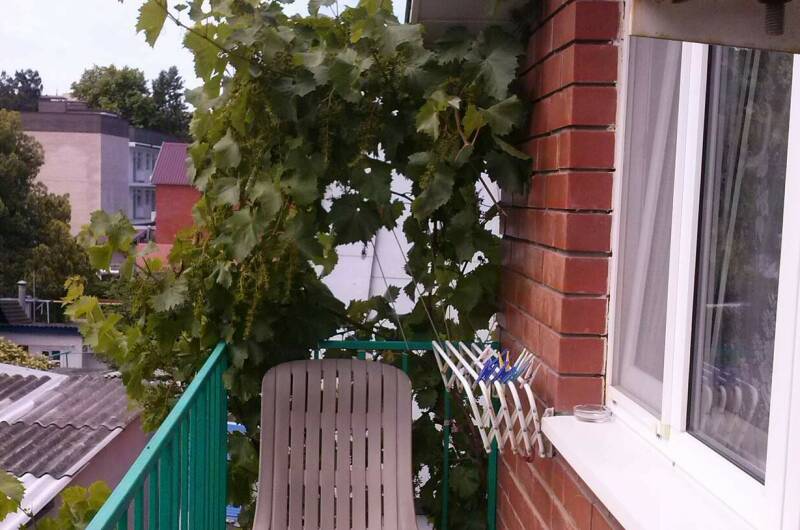 Апартаменты «Бежевый»