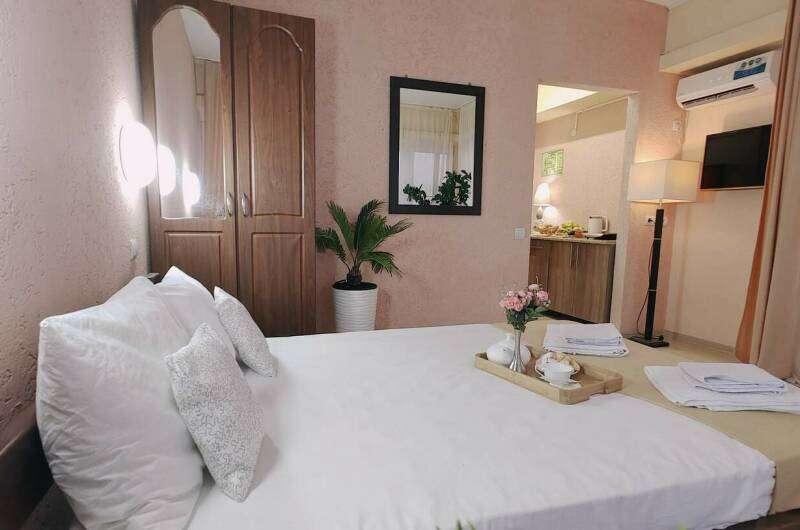 3х местная студия с мини-кухней и видом на тер-ию