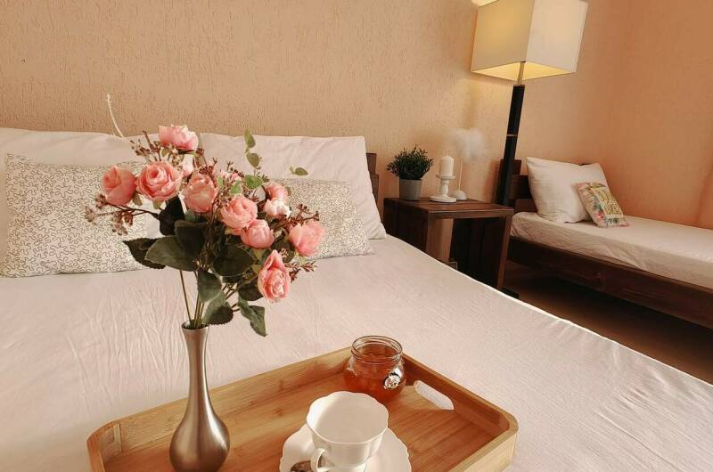 5ти местный полулюкс с видом на территорию