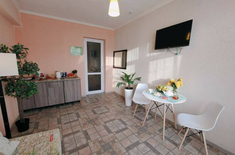 3х комнатные апартаменты с мини-кухней