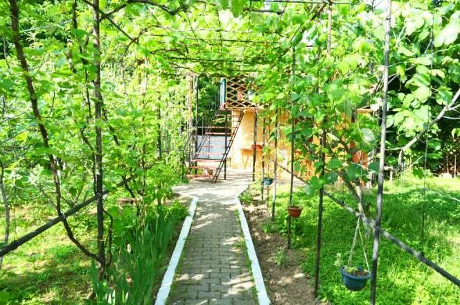 Коттедж «Стандарт» 1