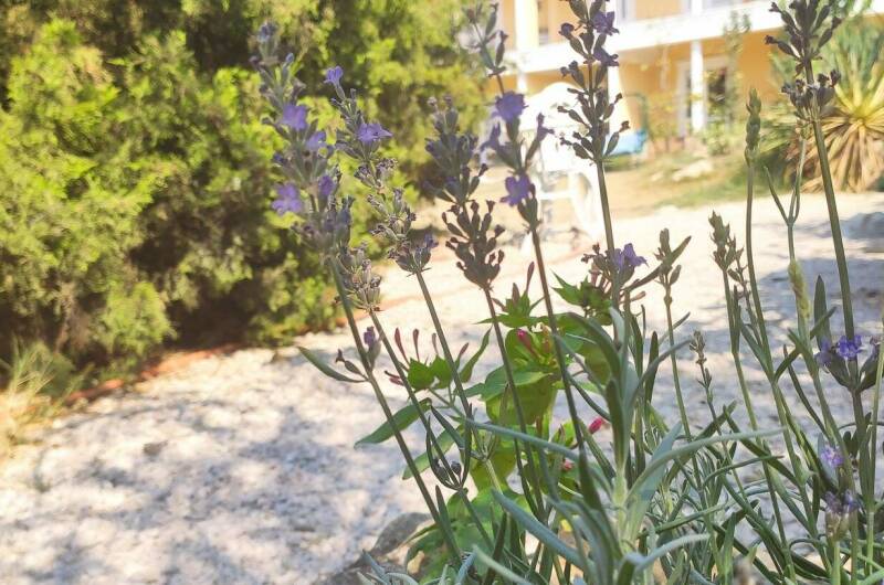 2−4х местный «Люкс» с завтраком на 2х