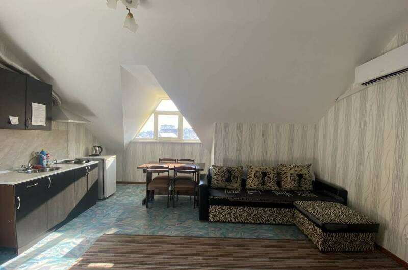 Двухкомнатные апартаменты с мини кухней (5 этаж)