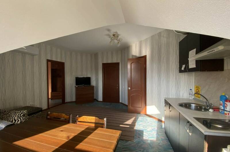 Двухкомнатные апартаменты с мини кухней (5 этаж)