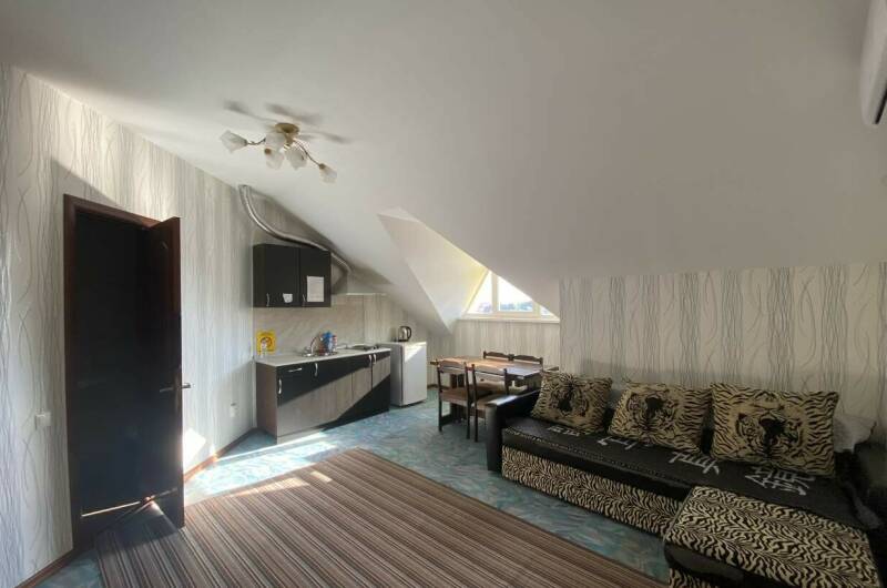 Двухкомнатные апартаменты с мини кухней (5 этаж)