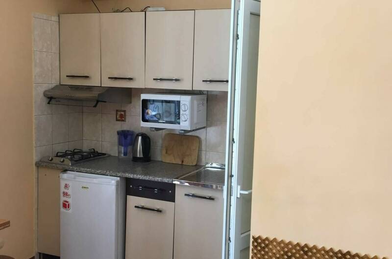 Комната с кухней и беседкой 1-й этаж