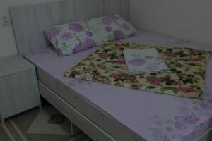 Изображение Изображение гостиницы "Гостевой дом «Адениум»" #1 #1