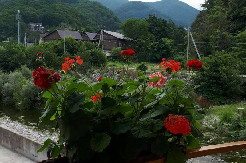 Трехместный номер с балконом