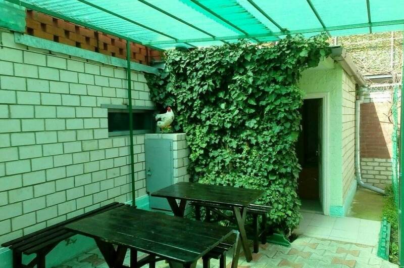 № 1 Комната 2-х местная