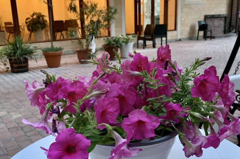 Двухместный люкс