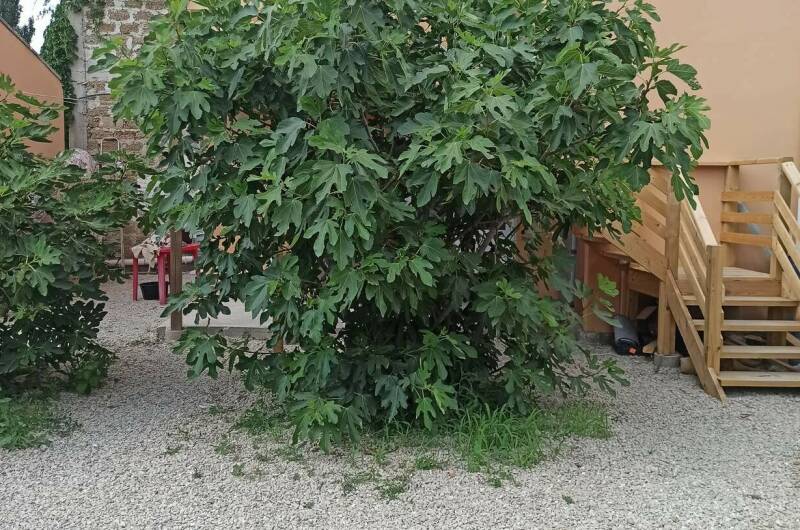 ТРЕХ МЕСТНЫЙ СЕМЕЙНЫЙ НОМЕР