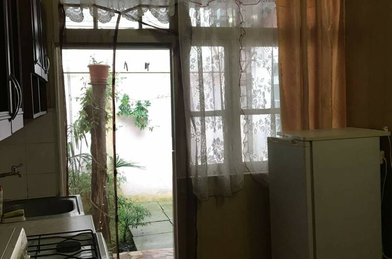 «Комната с кухней в саду»