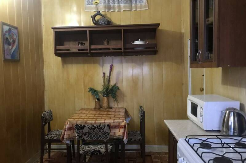 «Комната с кухней в саду»