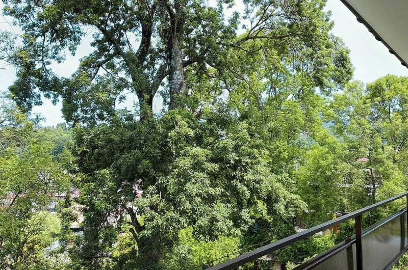 2-х местный номер