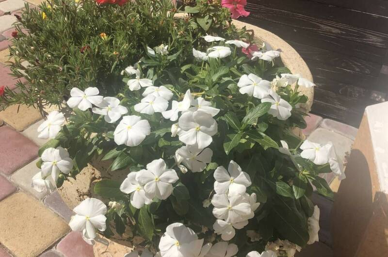 2-х местная комната с доп. местом