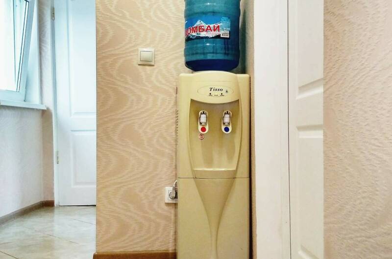 Комната с тюльпанами