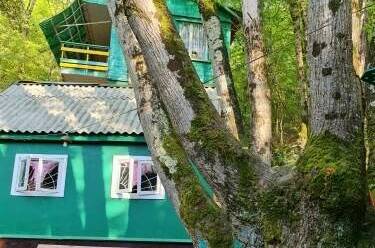 Домик 3-х местный с доп. местом «Лукоморье»