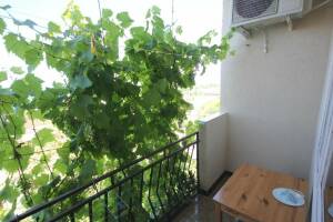 Изображение Изображение гостиницы "Гостевой дом «Семейный отдых»" #5 #5