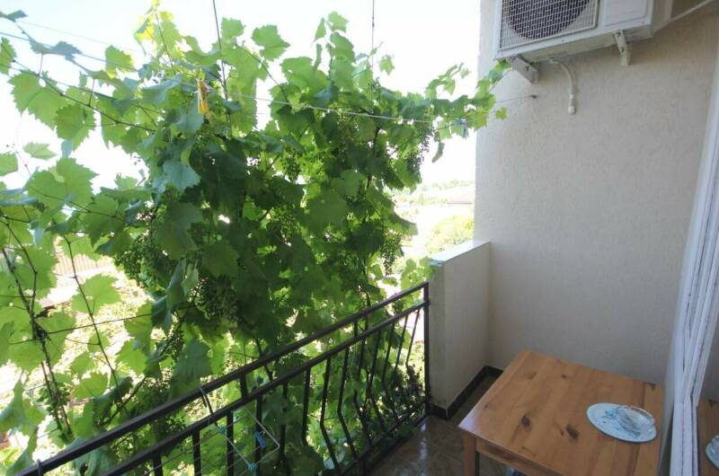 № 7 Четырехместный номер с балконом