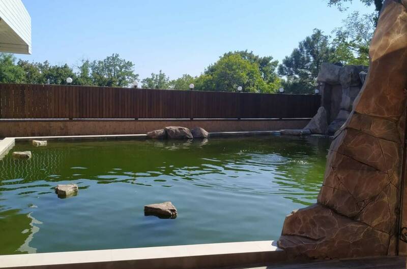 Семейный с прямым выходом к бассейну