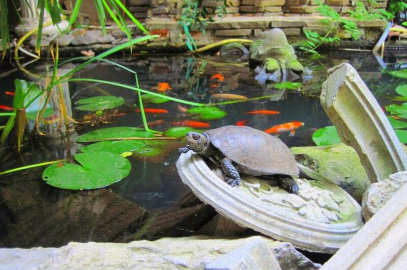 8-ми местный 3-х комнатный номер