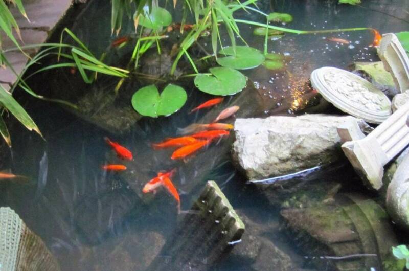 Двухместный семейный номер. Со всеми удобствами