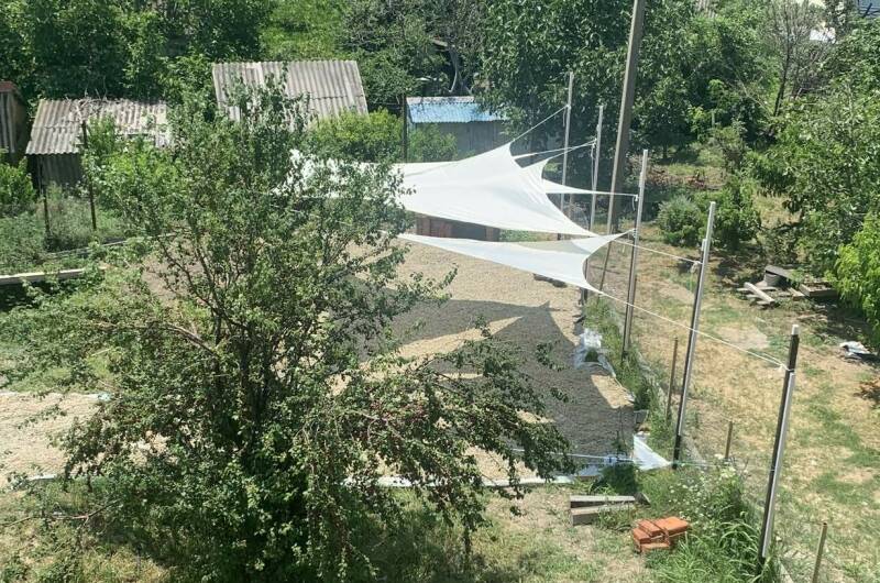 3-х местная «Студия»