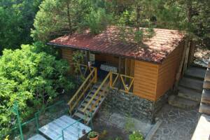 Изображение Изображение гостиницы "Гостевой дом «Ель»" #1 #1