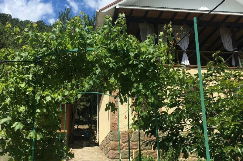 Номер «Изба»